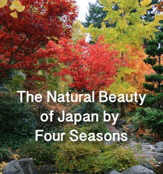 The NaturalBeauty of Japan by Four Seasons